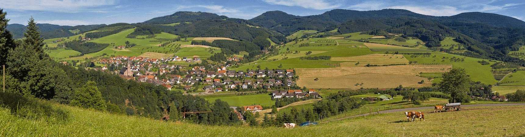 Bild Zell am Harmersbach