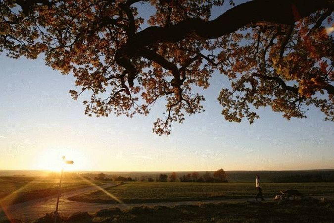 Bild Villingen-Schwenningen