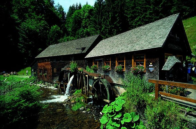 Bild Furtwangen im Schwarzwald