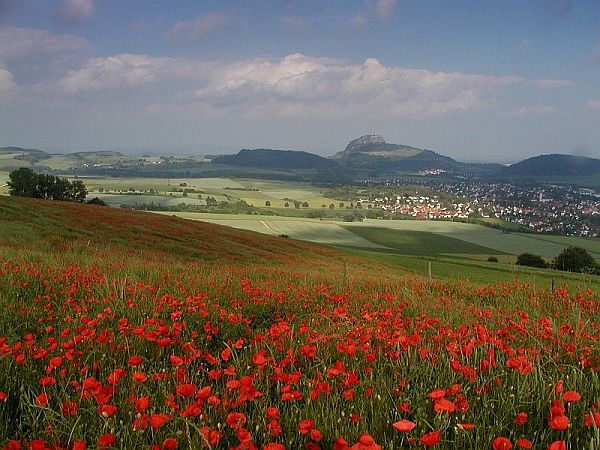 Bild Singen (Hohentwiel)