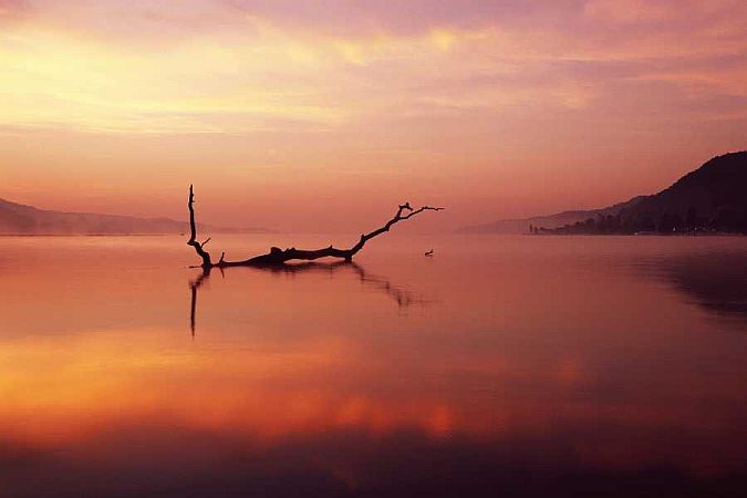 Bild Bodman-Ludwigshafen