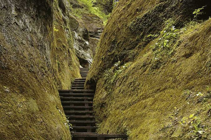 Bild Bodman-Ludwigshafen