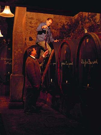 Bild Vogtsburg im Kaiserstuhl