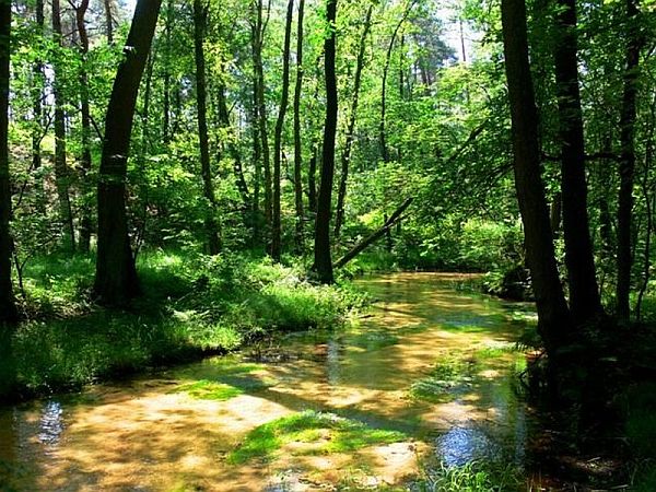 Bild Schloß Holte-Stukenbrock